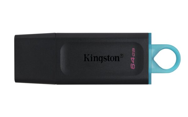 01.31.0024 Kingston DTX USB Flash 64GB